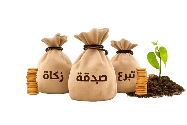 Money bags labelled Zakat, Sadaqah and Tabarru with a sprouting plant